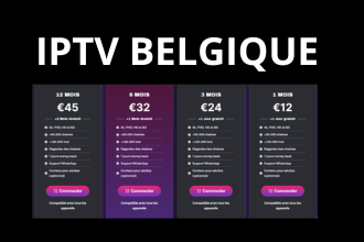 iptv box 2024